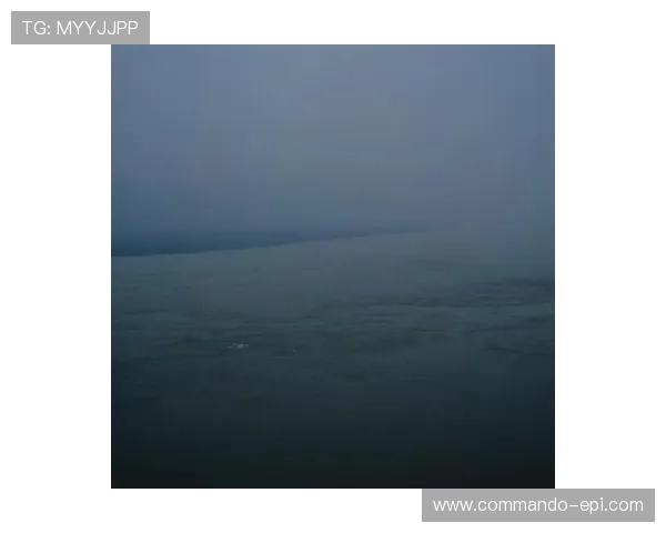 体博会官网展会时间地点及交通指南全方位信息一览